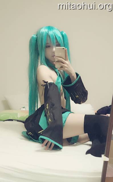 习呆呆一月初音主题